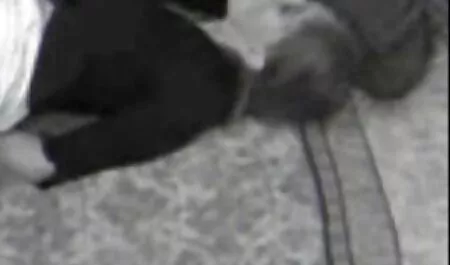 Вона дала йому покривала і тримала його за руки у порно фільми з переводом ванній